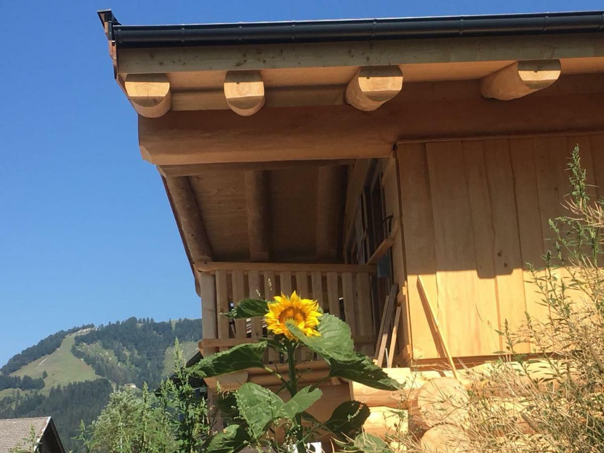 Chalet Karin Hochfilzen Extérieur photo